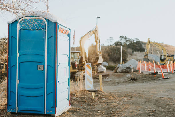 Best Sanitation services for porta potties  in Ruhenstroth, NV